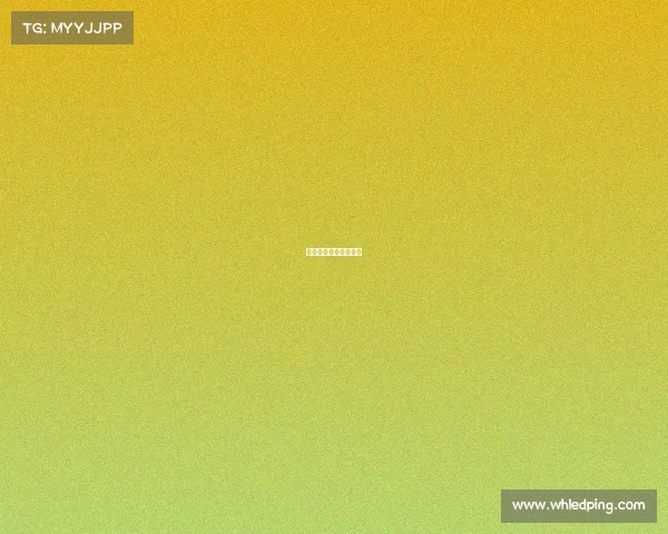 斗武赛事—斗武怎么玩